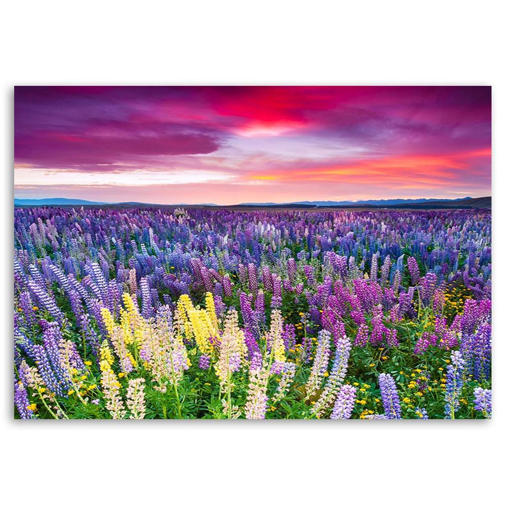 Canvas print, Meadow in bloom