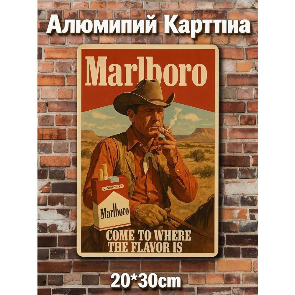 Ретро Металлические Знаки, Настенные Плакаты, Декор Стен, 20x30 см