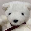 [USED] Monseuil andy M teddy bear