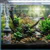 Multi-layer Fish Tank Filter Efficient Bacterial Culture Filter  Aquarium Use