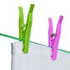Clothes Peg (Pack of 24)