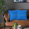 Blue Screen Of Death New 2 Pcs Square Pillowcase Pillow Cover Cushion Zip Decorative Comfort Throw Pillow For Home Sofa