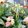 AB34-Измеритель влажности почвы для растений Почвенные измерители Измеритель влажности почвы для комнатных растений в горшках