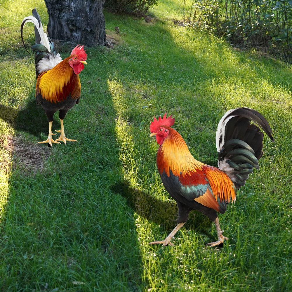 Stereoscopic Rooster Cards Acrylic Kid Toy Cute Inserting Cards Yard Art