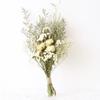 Натуральные сухоцветы Букет гипсофилы Композиция из сухоцветов Цветочная свадьба Высококачественное украшение для дома Сухоцветы