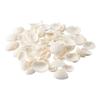 100 Grams Scallop Natural 100 Grams Beach Art Craft Projects Ocean  Women