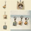 Мультяшное животное Веселый тост Кот Брелок Подвеска для сумки Кот Акриловая подвеска Подарок для леди девушек