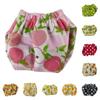 Absorbent Pet Training Pants Breathable Squirrel Underwear Potty Training Underwear  Incontinence