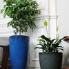 European Style Tall Resin Balcony Planter