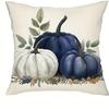 Home Decor Hello Pumpkin & Farm Fresh Autumn Decor Pattern Cushion Cover Suitable for Sofa Bedroom Car Pillow Cover