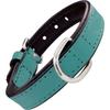 Dog Collar - NC - Gloria - Padded - Turquoise - 50 X 2.5 Cm