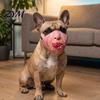 Creative Pet Photography Props Funny Dog Masque, PU Foam Scary Face Costume, Realistic Mouth Masque with Elastic Band for Dress Up, Holiday