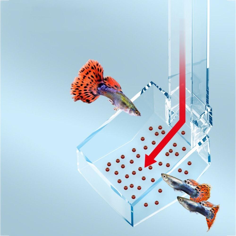 Кормушка для аквариума, пластиковая, собранная, кормушка для креветок, профессиональные аксессуары для аквариумов, кормушки для домашних животных