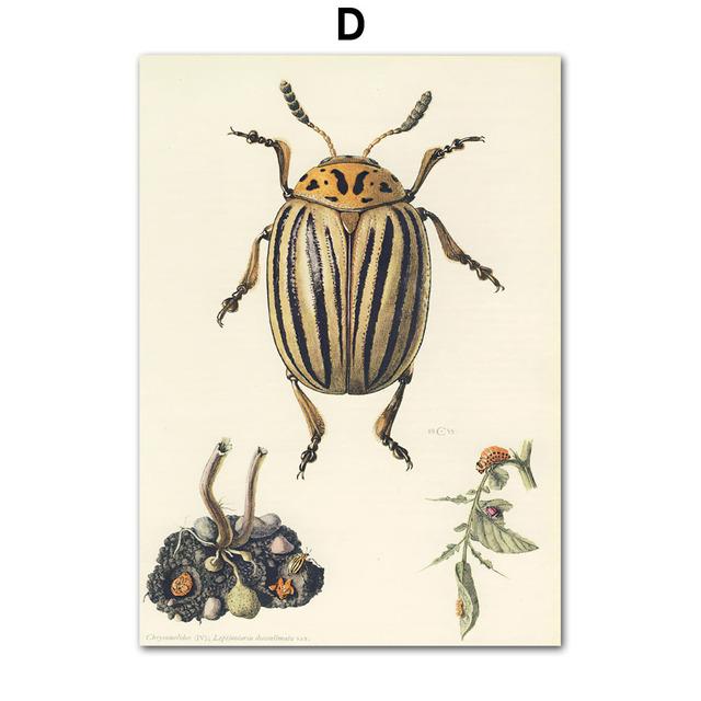 Винтажный постер с насекомыми-жуками, образец ретро-иллюстрации, настенная живопись на холсте, постеры и принты, картина для гостиной без рамки