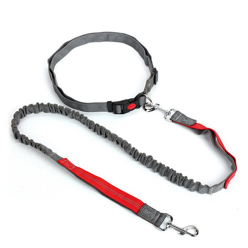Durable Elastic Nylon Dog Leash For Running And Walking Pet Leash With Comfortable Grip, Ideal For Active Dogs And Pet Owners