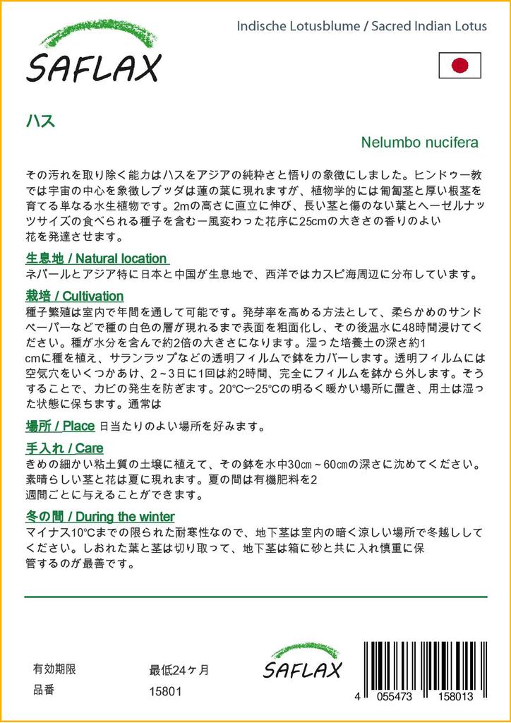 SAFLAX Garden in the Bag - Священный индийский лотос - 8 семян - С субстратом в подходящем пакете - Nelumbo nucifera