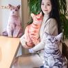 Baby-k 50 см милая имитация трехмерной подушки для кошки с рисунком тигра плюшевая игрушка-кукла