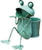 Murataya Object Frog Planter Back 4817