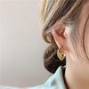 Korean Light Luxury Metal Silver Needle Earrings - 2022 New Niche, Simple, High-End Design for Women