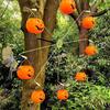 Ferris Wheel Hummingbird Feeder Squirrel Proof Spinning Bird Feeder with 8 Pumpkin Skull Buckets for Outdoor Yard Decor