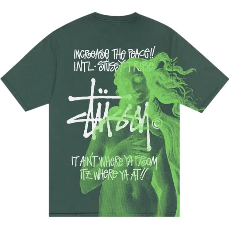 Stussy Ist Venus Pigment Dyed T Shirt 1904977-NATU