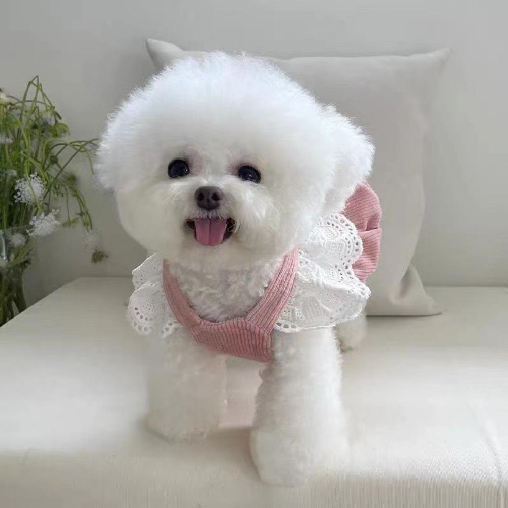 with Pulling Buckle Puppy Dresses Corduroy Spring Pet Clothing Dog Pumpkin Skirt  for Teddy Cat