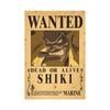 1 Piece Anime Luffy Gear 5 Bounty Wanted Posters Nika Zoro Ace Shanks Straw Hat Pirates Home Decor Craft Paper