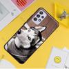 Чехол для телефона с щенком хаски для Samsung Galaxy A32 A12 A42 A52 A72 A11 A51 A71 A21S A20S A50 A70 A10