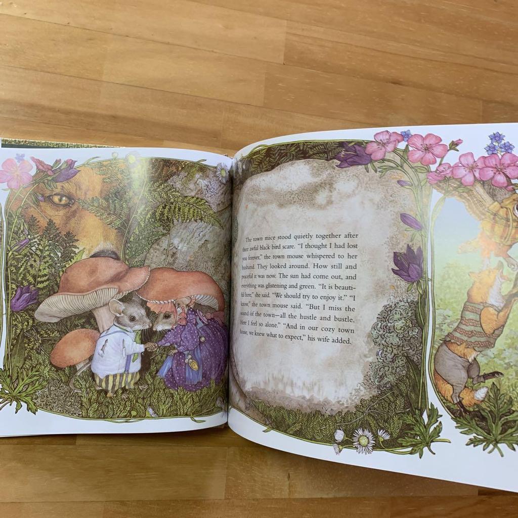 [Б/У] Джен Бретт Городская мышь Деревенская мышь