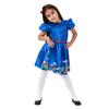Blues Group Girls Book Worm Costume