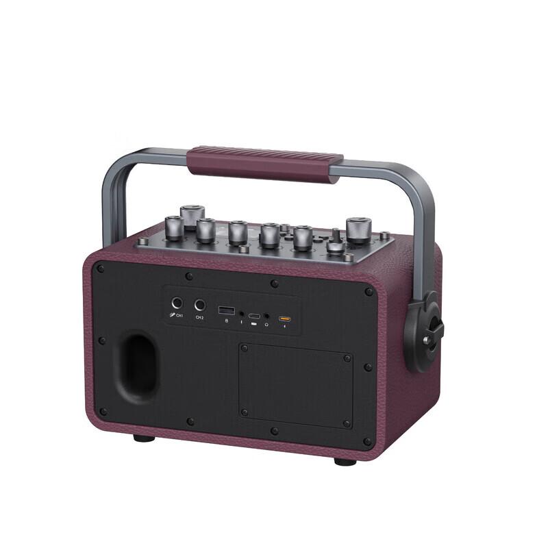 SEE ME HERE Wanderer S1 Outdoor KTV Portable Bluetooth Speaker