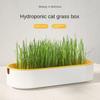 Hydroponic Cat Grass Box Cat Treats Catnip Hydroponic Soilless Planting Cat Grass Pot Set for Easy Growth