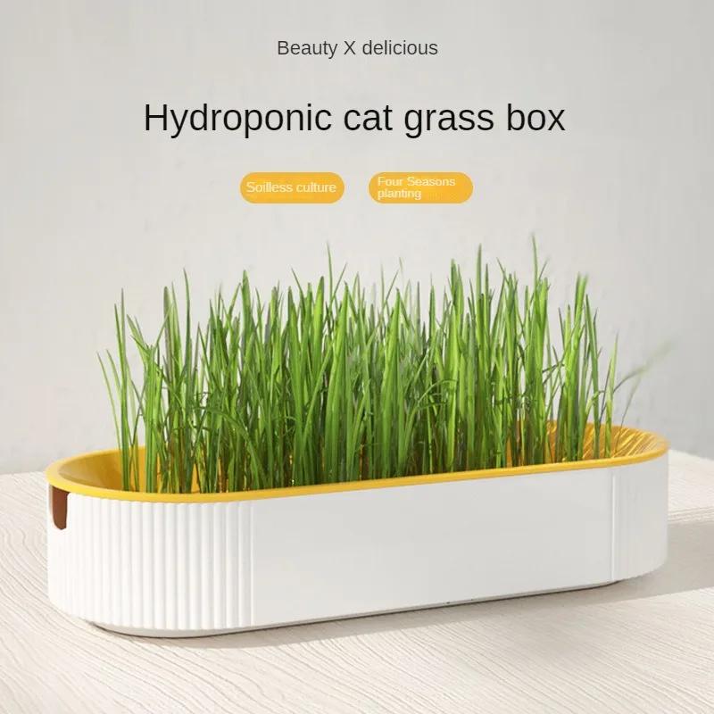Hydroponic Cat Grass Box Cat Treats Catnip Hydroponic Soilless Planting Cat Grass Pot Set for Easy Growth