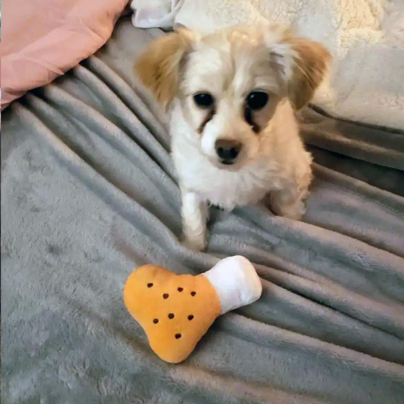 Плюшевая игрушка для домашних животных в форме куриного бедра, мягкая игрушка для собак, пищащие игрушки для домашних животных, собак и кошек, уход за зубами