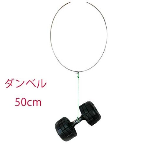 64 Titanium Tama Frame Ultra Lightweight Fishing Net for Iso Tama One-Piece (40)