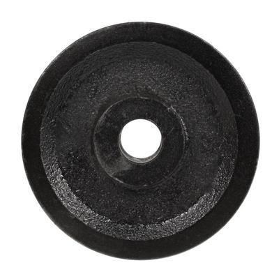 Шкив подметальной машины Cedrus Zm03 030637