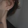 Korean Cold Style Trendy Claw Earrings - High-End French Design for Women, 2022