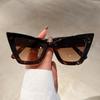 Vintage Cat Eye Sunglasses Fashion Oversized Butterfly Shape Shades Eyewear Luxury Brand Design UV400 Sun Glasses