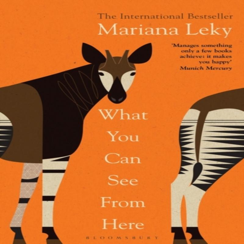 What You Can See From Here by Mariana Leky Paperback Book 9781526638540