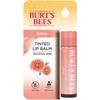 Burt's Bees Tinted Lip Balm 4.25g, Zinnia, 1 Unit