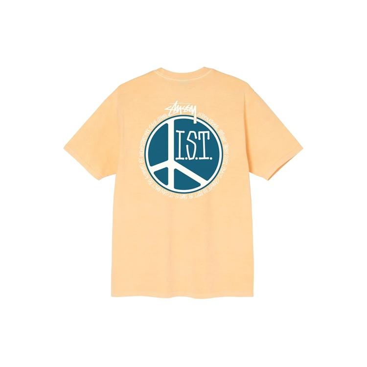 Stussy Peace Dot Pigment Dyed Tee LogoT Unisex 1904723