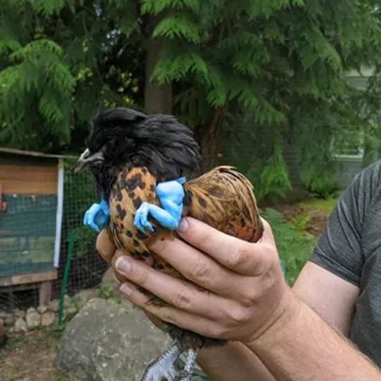 Игрушка Мышца Курицы Рука Смешной Динозавр Пародия Реквизит для Домашнего Животного Декор Предплечья Курицы Реквизит для Фотосессии Бойцовой Курицы Хэллоуин Дни Рождения Принадлежности