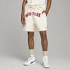 Puma Баскетбольные шорты X Rhuigi Pristine Men Bottoms White 539496-65