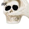 Spooky Secret Room Props Halloween Skull Hand Sculpture, Gothic Skeleton Head Figurine, Resin Vintage Yellowed Sculpture Decoration for Bedroom Living