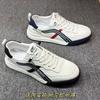 Board Shoes Men's Autumn New Single Shoes Casual Wear-resistant Breathable Fashion Shopping Mall White Shoes