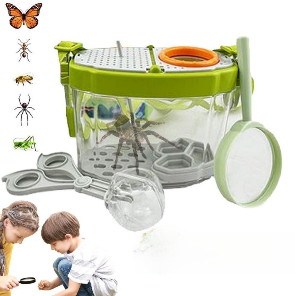 Breathable Insect Observation Box Kit Adjustable Straps Insect Feeding Bin  Snails