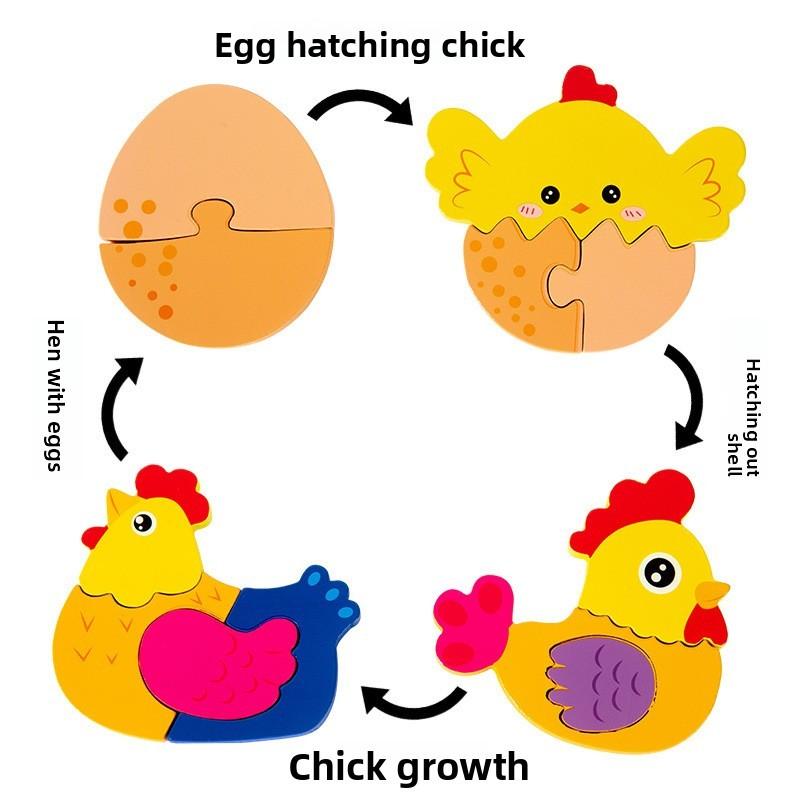 Life Animal Frog Cycle Jigsaw Puzzle Game For Kids Cognitive And Skills Shape