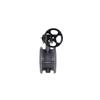 Steel Nian Zhenpin Manual Cast Steel Butterfly Valve