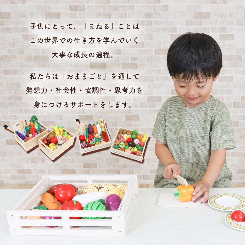 Sanitation Law Rocotto Wooden Pretend Play Set with Magnetic and Velcro Includes and Fruit Storage Large Capacity Play Toy Wooden Educational Cutting