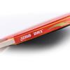 Double Happiness 2-Star Table Tennis Racket